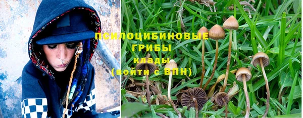 мдпв Вязники