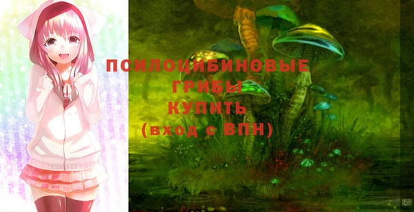 мдпв Вязники