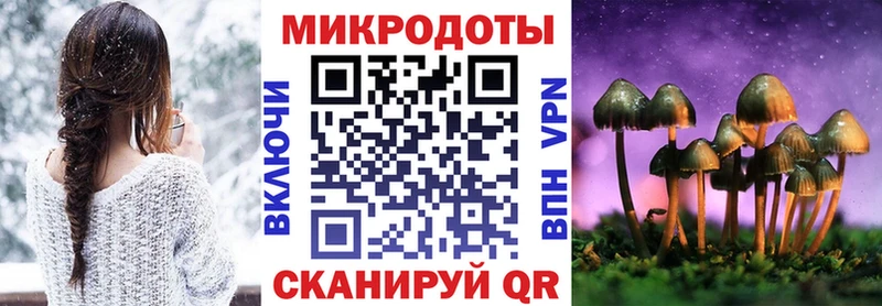 Псилоцибиновые грибы Psilocybine cubensis  Нижний Тагил 